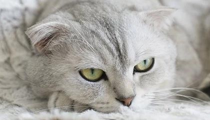 爱游戏igame-高光时刻：那些场上经典瞬间难以忘怀！，高光时刻的歌曲