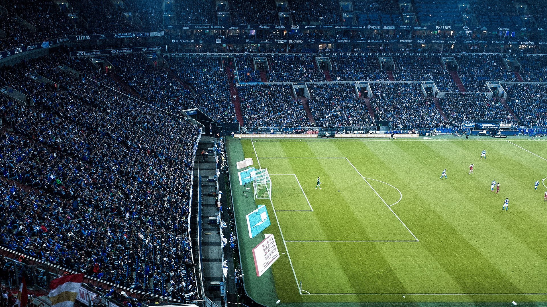 _极地冰原漂流：冰雪中的生存与速度_，极地冰原气候百科