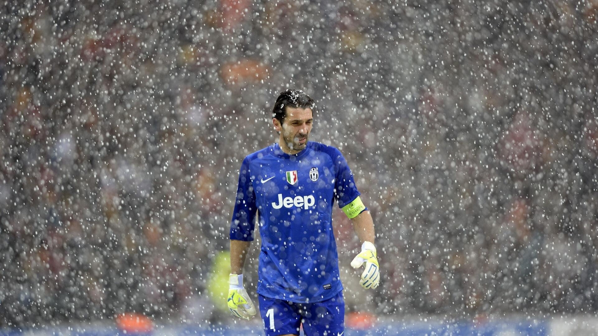 谢菲联在英冠联赛中获得冠军，升入英超，英冠谢菲尔德联